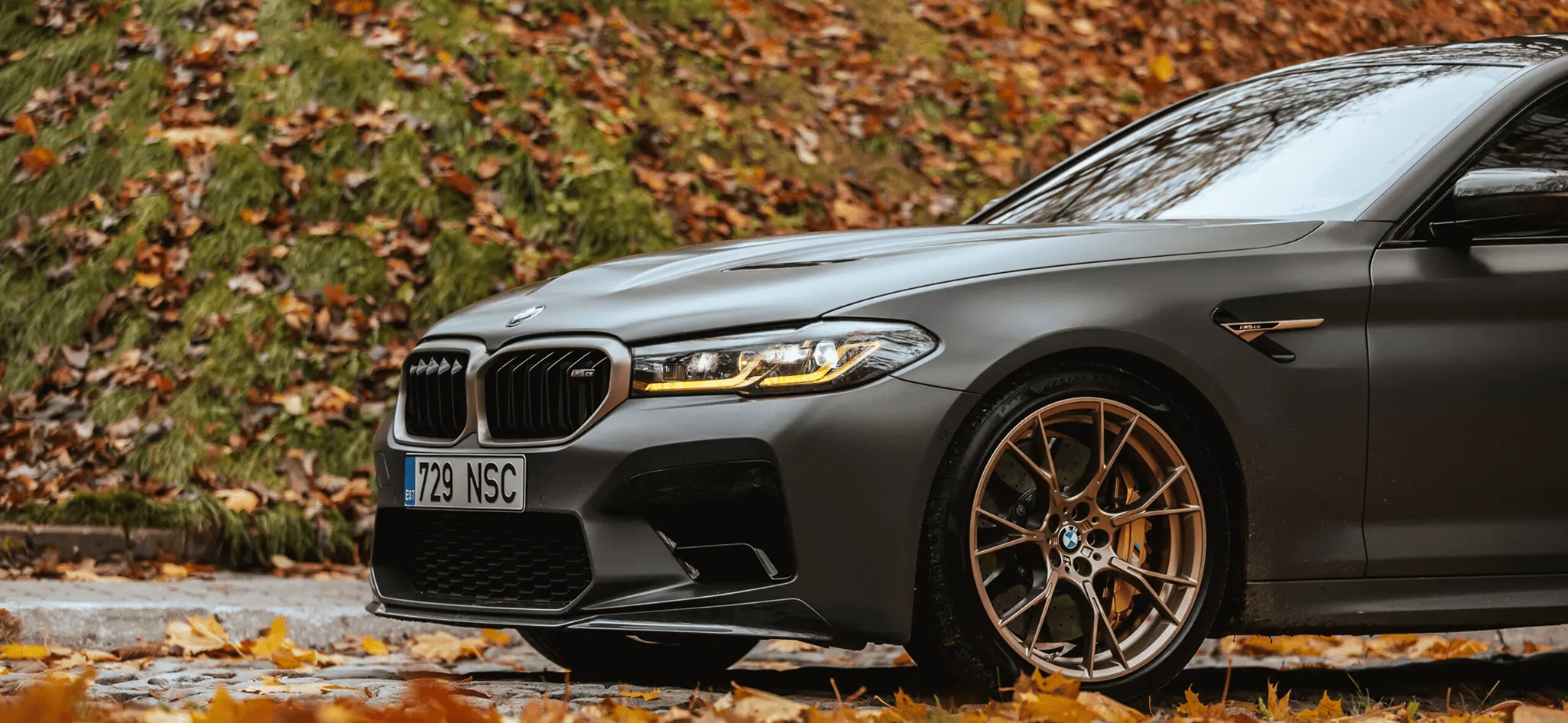 Professional auto detailing service